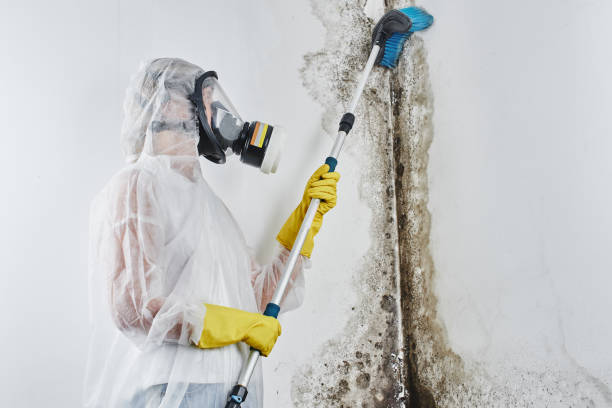 Best Residential Mold Removal  in Girard, KS