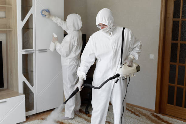 Best Emergency Mold Removal  in Girard, KS