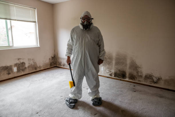 Best Affordable Mold Removal  in Girard, KS