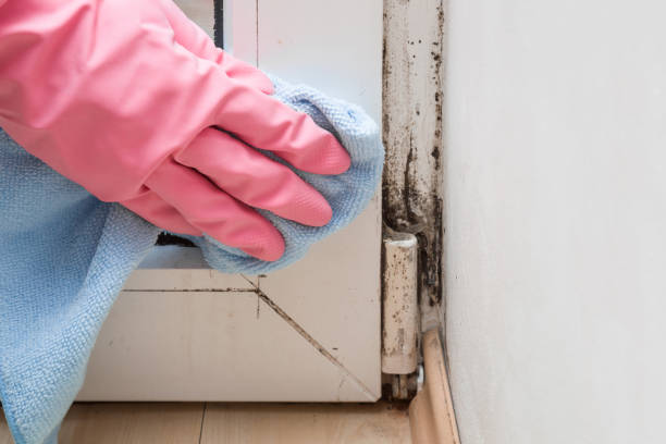 Best Office Mold Removal Services  in Girard, KS